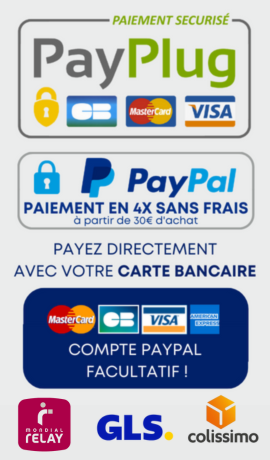 Paiement sécurisé avec PayPlug et PayPal Paiement sécurisé avec PayPlug et PayPal